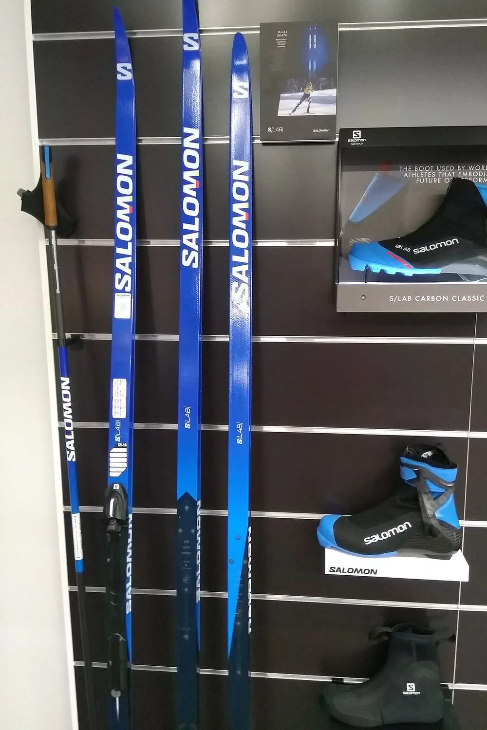 Salomon